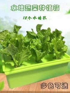 新20214无土栽培设备阳台水培种菜机室内水耕蔬菜种植花盆植物厂