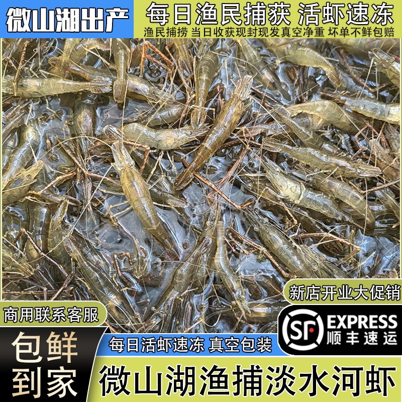 微山湖淡水河虾新鲜鲜活顺丰包鲜
