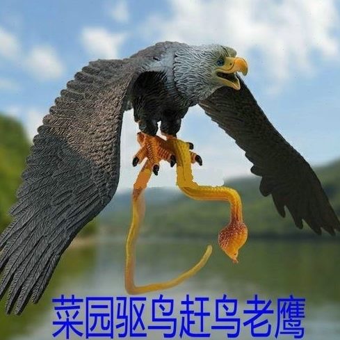 模型鸟小鸟鸟户外假驱鸟神器家用人惊用的鹰阳台驱老鹰鸟防鸟吓赶