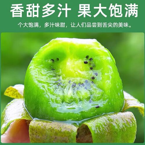 陕西翠香猕猴桃绿心猕猴桃正宗猕猴桃产地直发新鲜水果全场包邮