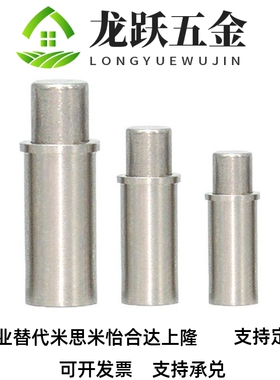 304/平头小径弹簧柱塞MPFL/MP6FH1.5/2/3/4/5-1.5/3/4//型89/12