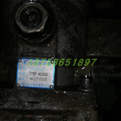 银川长城液压:TY10F-40p/40,TY10F-40/20,TY03F-12.TY09F-40
