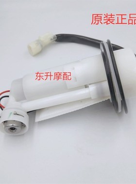 嘉爵N19大蟒蛇z1C000摩托车汽油泵