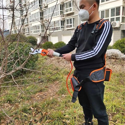 电动修枝剪 园艺电动剪刀4公分果树修枝机 X便携式修枝剪
