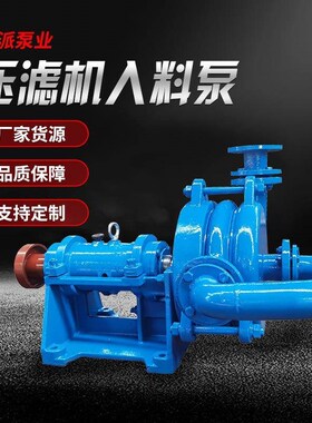 压滤机入料泵100ZJW 杂质泵杂质泵洗I煤厂给料泵离心泵矿用渣浆泵