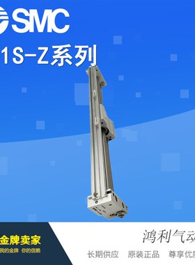 磁藕式无杆气缸CY1SG25-50Z/100/150/200/250/300/35T0/400BZ/BSZ