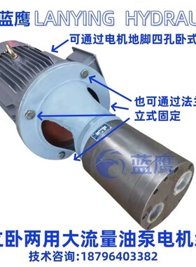 新款CB-B160/200/300/350/400/500齿轮CKB2油泵XCB-DCB大流量C包