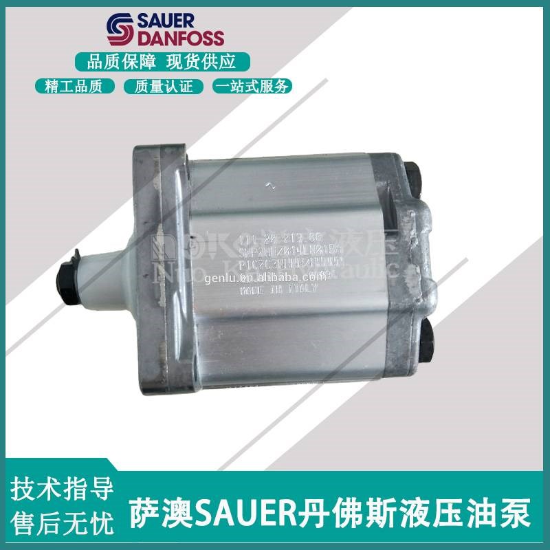 新款意大利Danfosks丹佛斯齿轮泵SNP2NN/014LN01BAP1C7C3NNNN/NNN