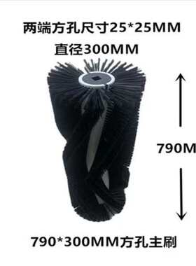 坦龙T30S/T40S/T50sS/T80ST90驾驶式扫地车滚刷边刷物业洗地机配