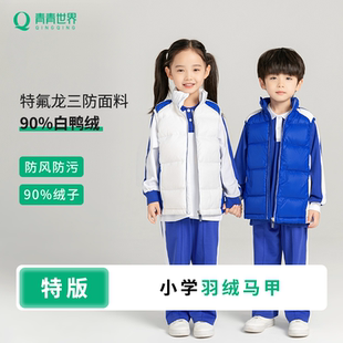 青青世界特版深圳校服羽绒马甲特版男童女童儿童冬季保暖白鸭绒