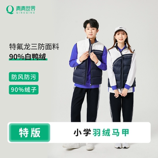 青青世界校服深圳校服中学生羽绒马甲冬天运动服加厚保暖轻便功能