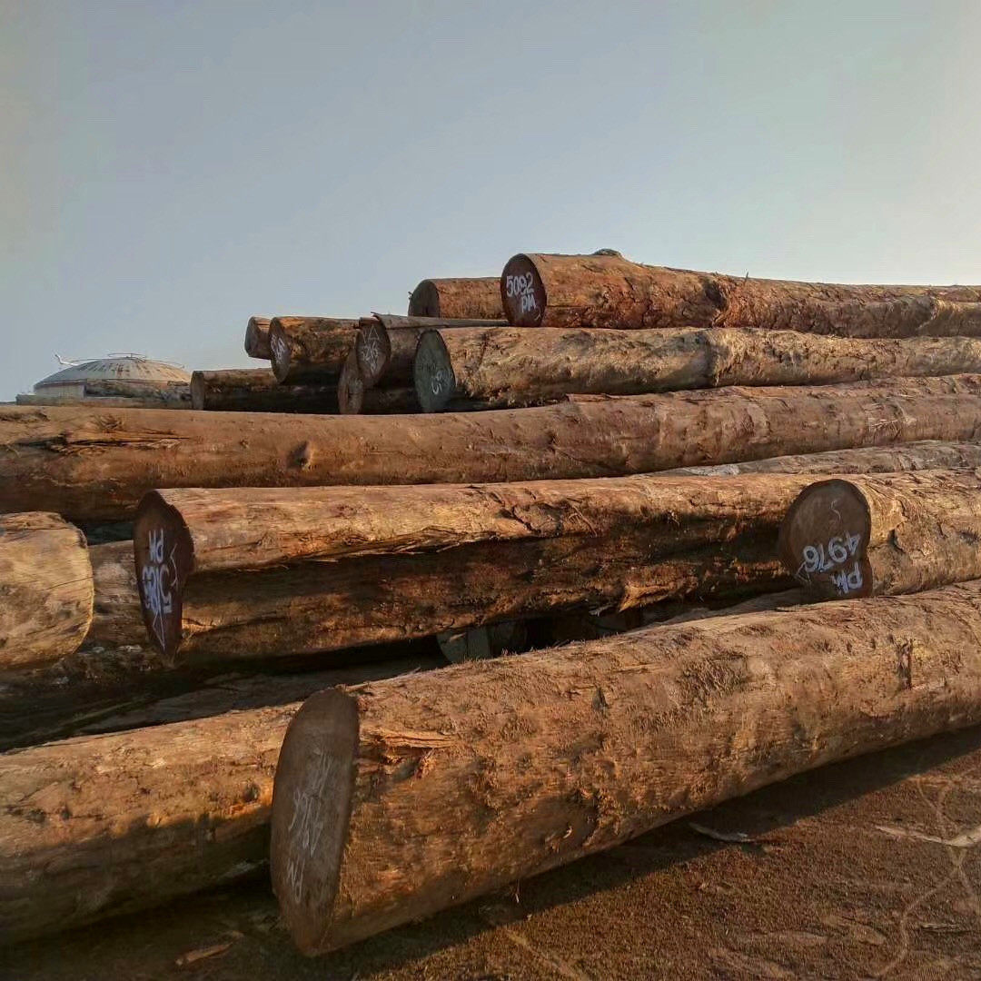 唐木原木木材 番龙眼 唐木板材 工程园林古建家具木料唐木,基础建材,原木木方,淘宝优惠券,粉丝福利购,淘宝优惠卷