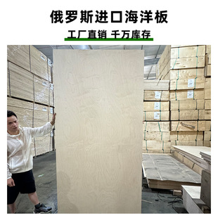 进口全桦木海洋板直发整板胶合木板防潮多种规格 ENF环保板材