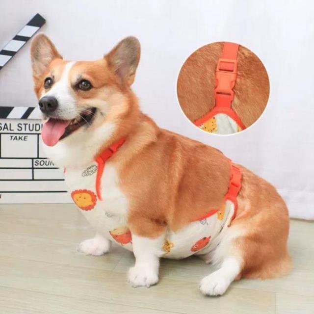 宠物狗狗肚兜保暖护肚子柯基泰迪法斗柴犬小型犬中型犬防着凉冬天