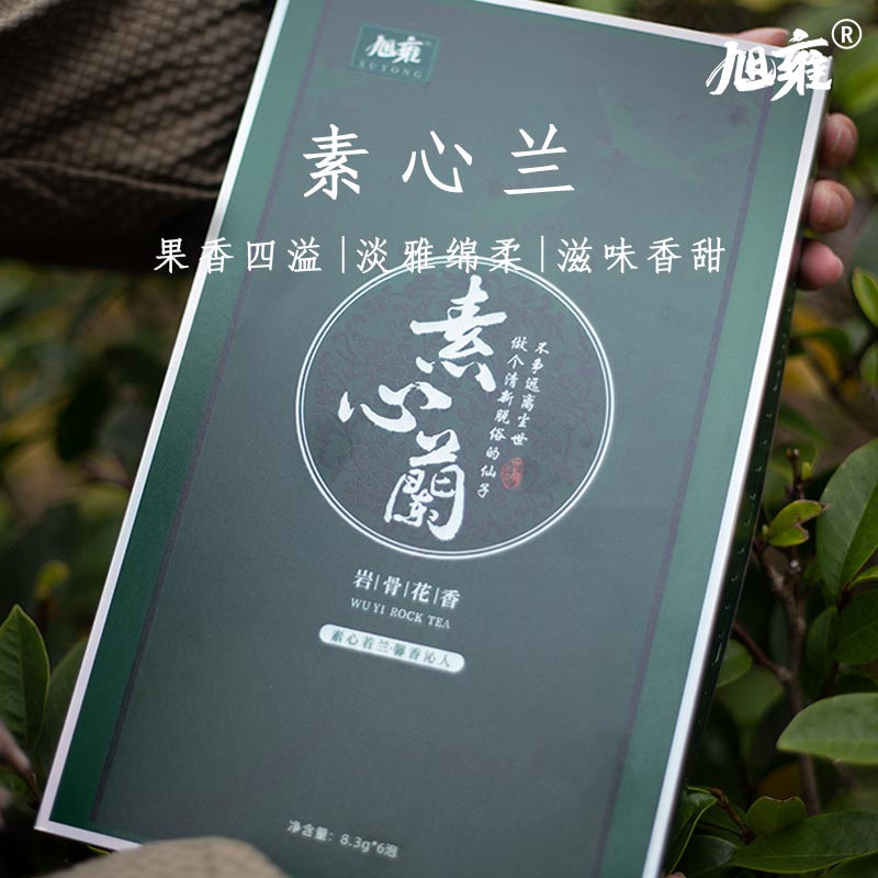 旭雍素心兰兰花香、花果香