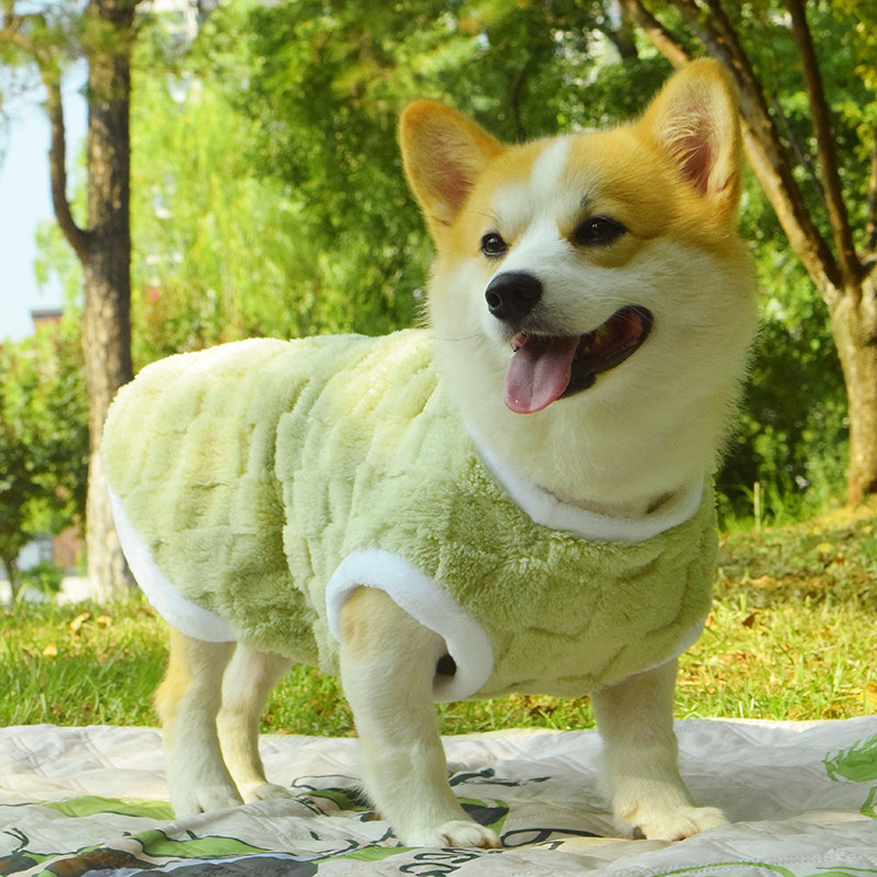 日本狗狗衣服秋冬防掉毛马甲中型犬靓丽可爱舒适防脏保暖加绒背心图片