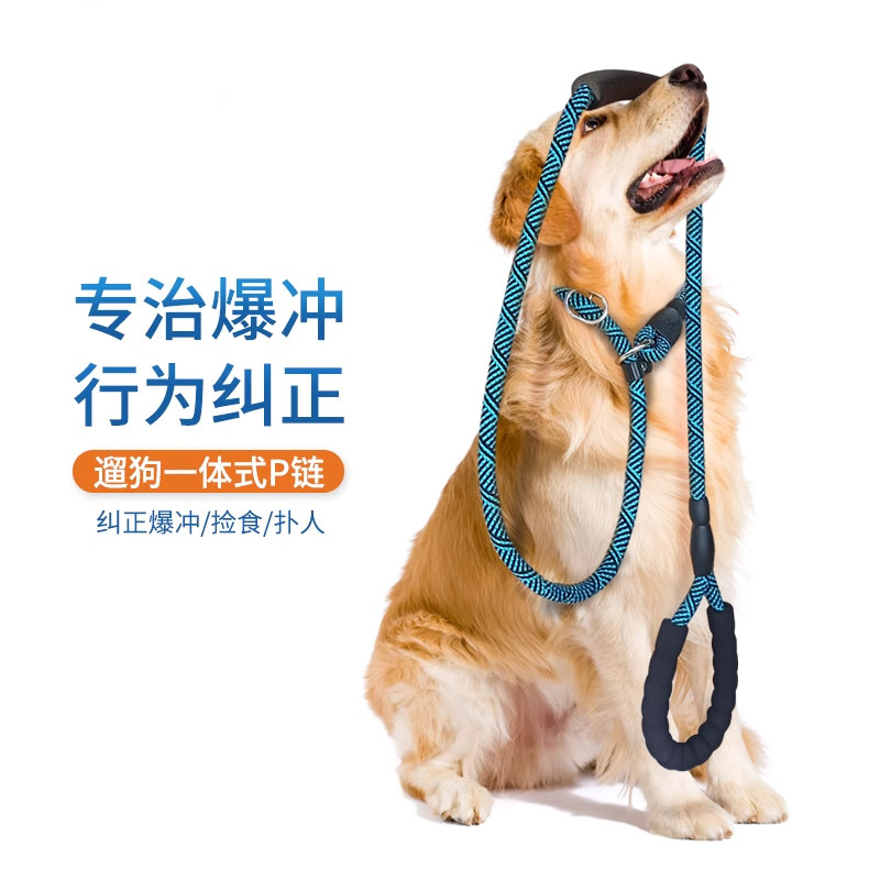 日本严选宠物狗P绳专业训练遛狗防爆冲大中小型犬牵引绳子P字链