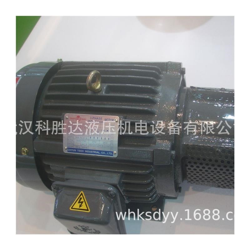 长咀型 C10-43B0油压电机配油泵马达7.5KW卧式U安装2HP-4P