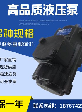 美国DENISON丹尼逊 T6CC-028-0E10-1R00-C100 双联高压叶片泵