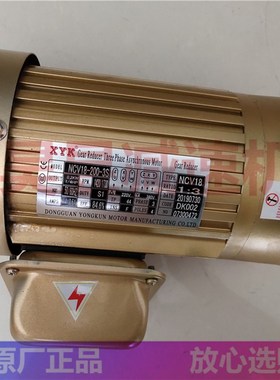 XYK永坤齿轮减速h电机 食品机械马达 NCV18-200-3S NCH22-400-50S