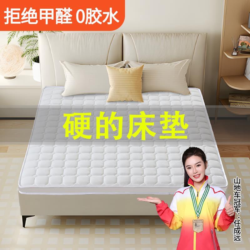硬的床垫全粽榈护脊腰天然偏环保椰棕1米2家用卧室折叠宿舍定制