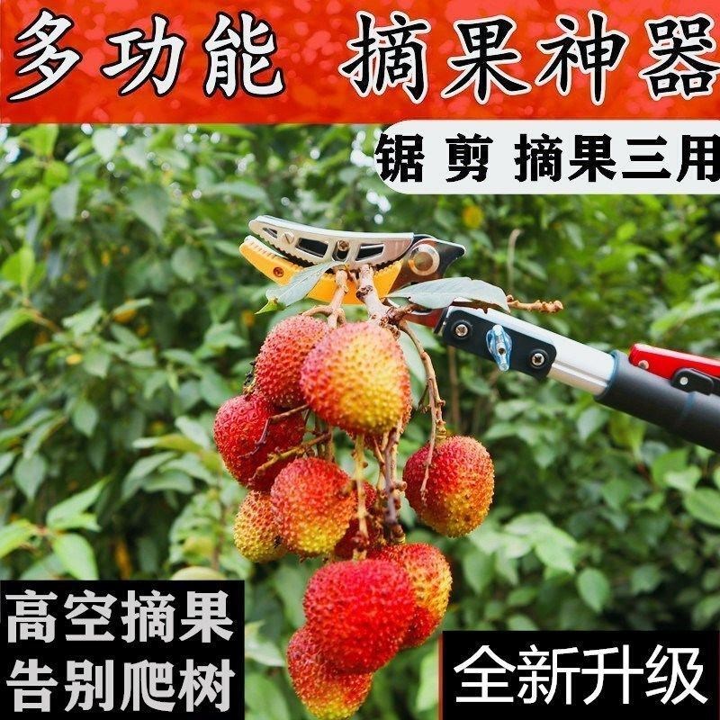 树柿子剪采摘摘果剪荔枝锯龙眼高枝剪高空剪枝剪摘果神器枇杷伸缩