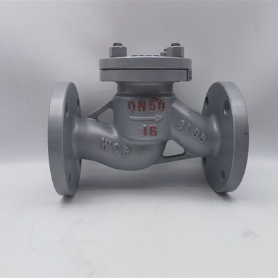 H41H-16C铸钢升降式止回阀碳钢单向阀逆止阀WCBdn405080100150