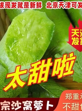 天津正宗沙窝萝卜绿色生吃脆甜水果型现拔5斤青萝卜新鲜蔬菜包邮