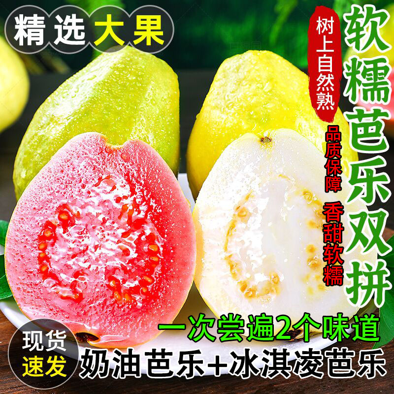 红心芭乐新鲜水果白心芭乐番石榴