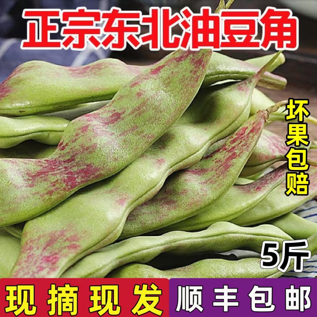 东北特产一点红油豆角新鲜现摘图片
