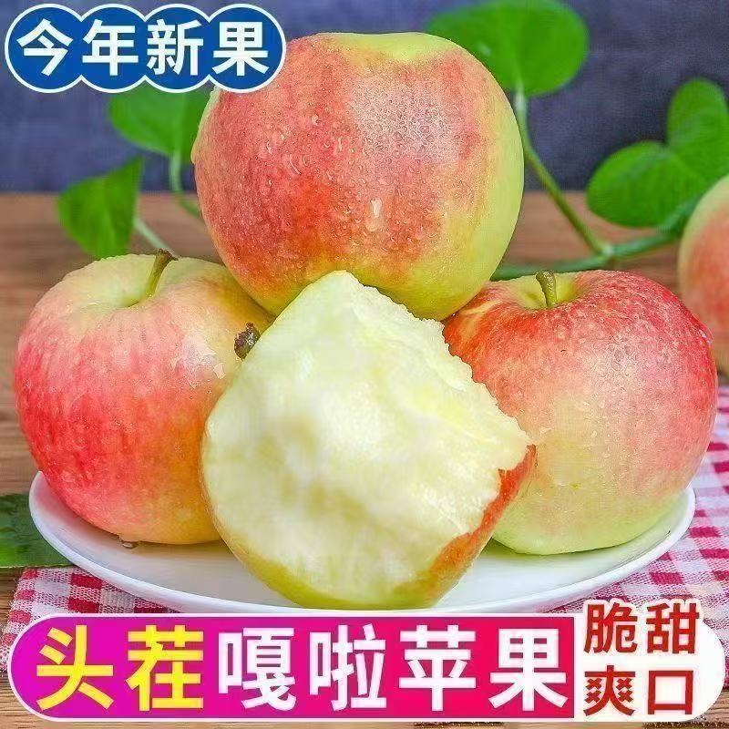 山东嘎啦苹果新鲜水果当季整箱顺丰包邮现摘早熟红富士冰糖小苹果