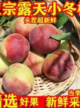 沂蒙山小冬桃新鲜水果脆桃脆毛桃当季蜜桃青皮冬桃脆甜顺丰