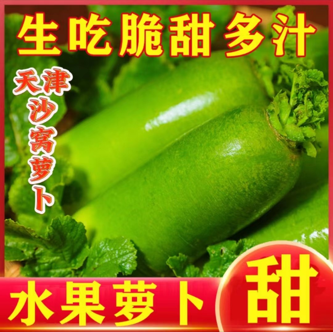 正宗天津现挖沙窝萝卜5斤非潍坊绿青甜脆水果萝卜型生吃新鲜蔬菜,水产肉类/新鲜蔬果/熟食,萝卜/胡萝卜,淘宝优惠券,粉丝福利购,淘宝优惠卷