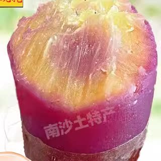 正宗广州南沙一点红番薯新鲜现挖冰淇淋红薯板栗薯农家自种蜜薯z