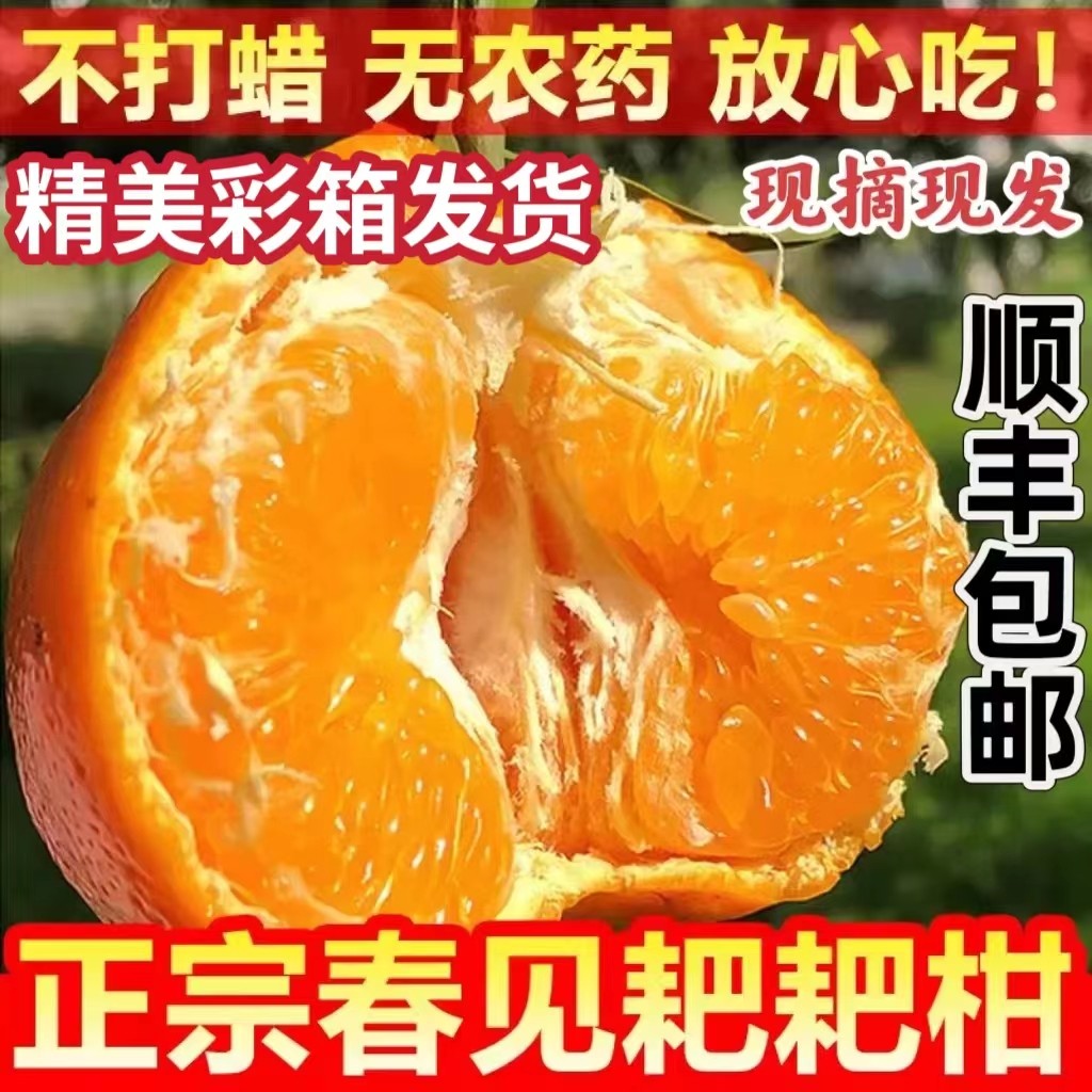 正宗四川春见耙耙柑旗舰店新鲜水果现摘当季粑粑柑甜橘子10斤顺丰,水产肉类/新鲜蔬果/熟食,桔子,淘宝优惠券,粉丝福利购,淘宝优惠卷