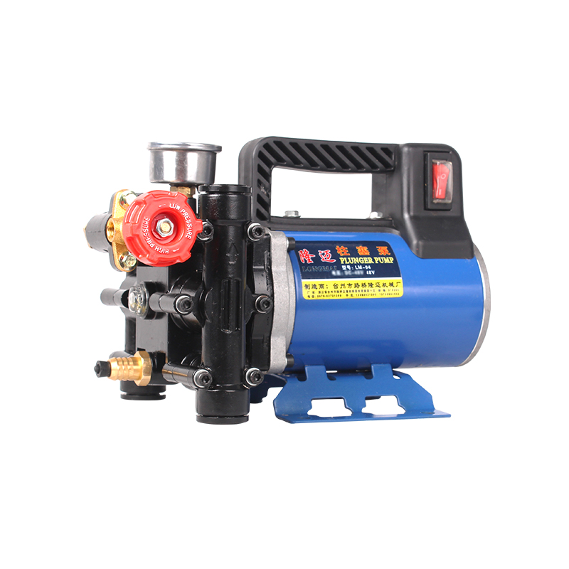 电动喷雾器果树双缸充电手提式打药机12V48VO220伏农用高压泵清洗