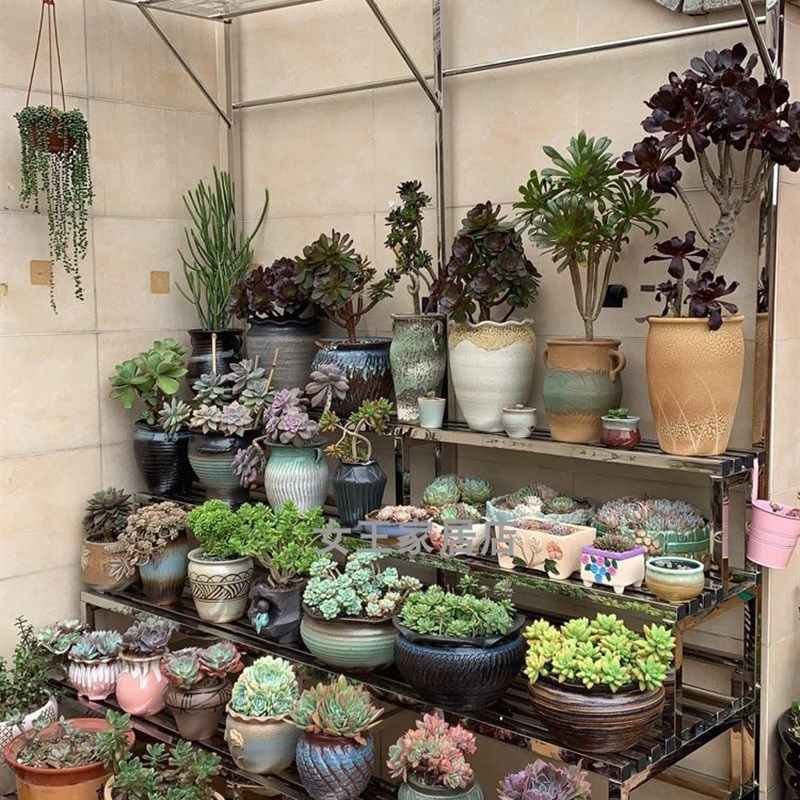 不锈钢花架吊兰雨棚遮阳保温架攀爬藤架I植物墙壁多层楼梯落地定,鲜花速递/花卉仿真/绿植园艺,花架,淘宝优惠券,粉丝福利购,淘宝优惠卷