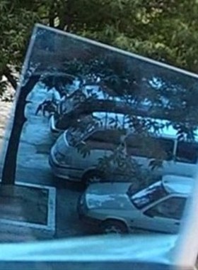 蓝色亚克力板1o5cm*20cm厚5mm尺寸