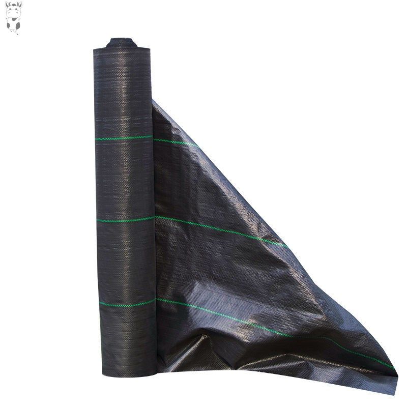 速发新型坑老化h除草布农用地布地A膜果园果树耐用环保防长草地钉,农机/农具/农膜,农用薄膜,淘宝优惠券,粉丝福利购,淘宝优惠卷