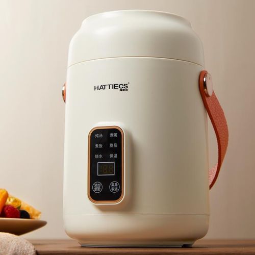 海蒂诗旅b行便携电煮锅多功能小型迷你家用宝宝煮粥煲饭煲汤电火