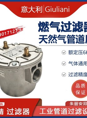 燃气过滤器 瓦斯过滤器70611-70631 DN50 706O20F 70610法兰螺纹