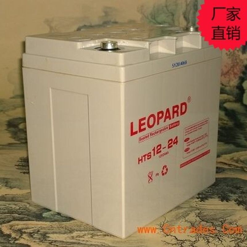 柏克蓄电池6GFM24 12V24AH免维护UPS电源 工业U通讯机房储能备用