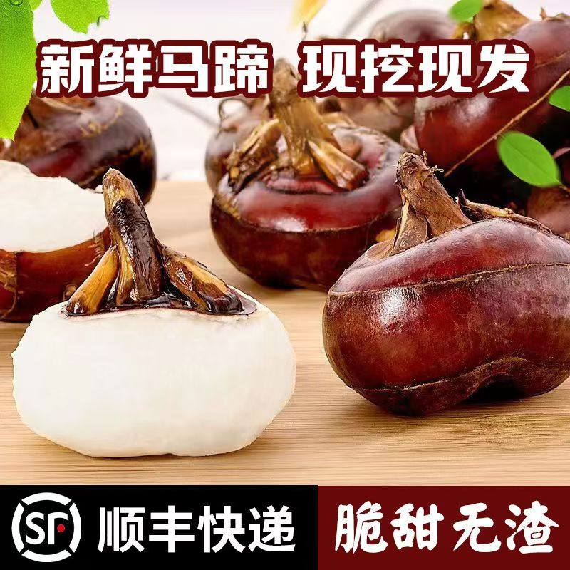 【顺丰包邮】新鲜牛奶大马蹄果地梨当季蔬菜即食水果无为荸荠大果,水产肉类/新鲜蔬果/熟食,荸荠/马蹄,淘宝优惠券,粉丝福利购,淘宝优惠卷