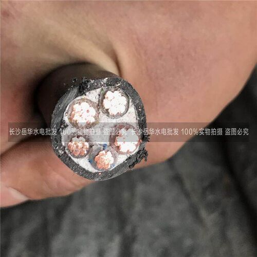 金盃电缆线 国标线 铜芯线 ZC-YJV 3*50+2*25阻燃电缆线