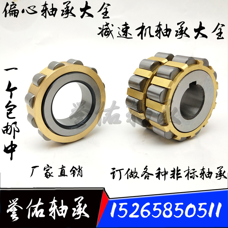 减速机偏心轴承RN205 RN206 307 308 309 312 219 222M 轴承