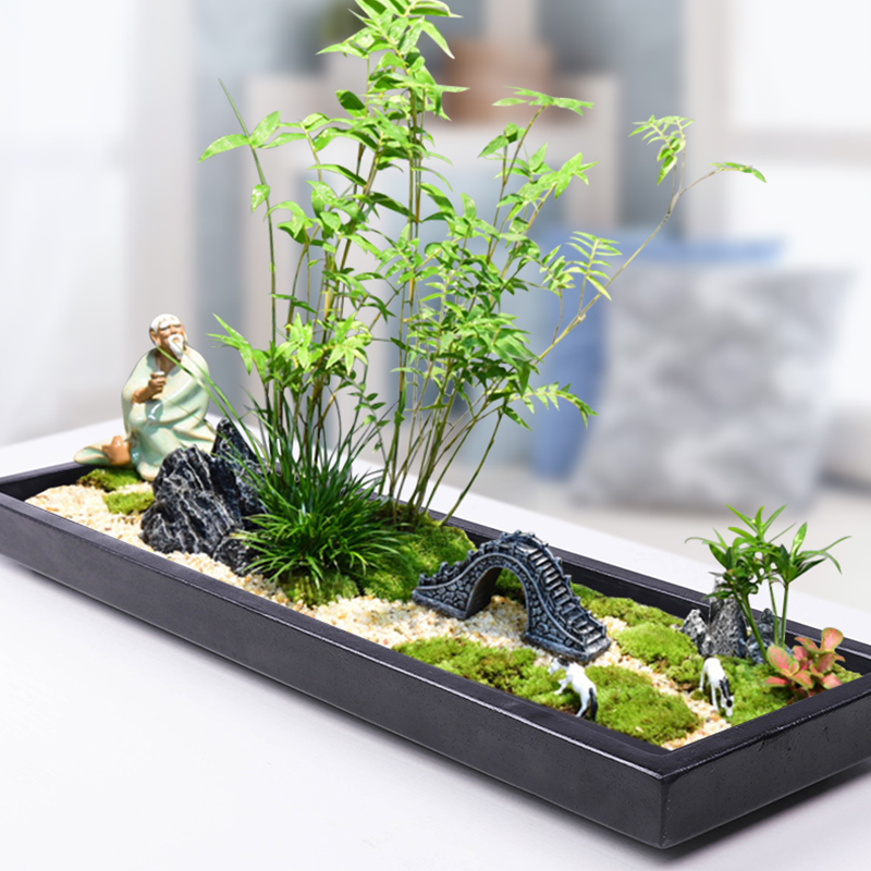 乌金石大型微景观室内造景盆无孔苔藓假山吸水石树桩盆景盆长方形
