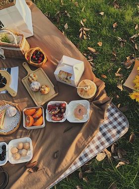 Outdoor Thicken Pad Blanket Camping Beach Plaid Picnic Mat