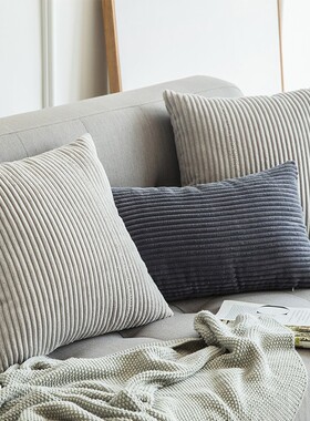 Pillow cushion sofa cushion office waist pillow cover core
