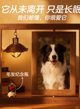 宠物纪念相框摆台定制照片猫咪狗毛发留念收藏保存宠物离世纪念品