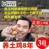 四川雅安土鸡蛋正宗柴鸡蛋新鲜农家散养土鸡蛋月子鸡蛋无菌可生食